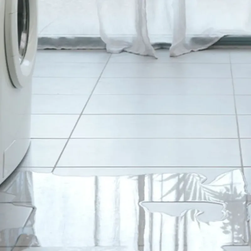Appliance Leak Cleanup in East Dundee, IL