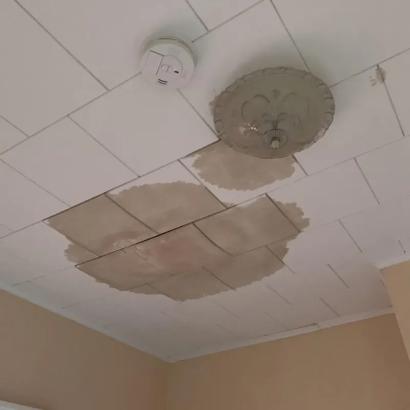 Ceiling Water Damage Repair in East Dundee, IL