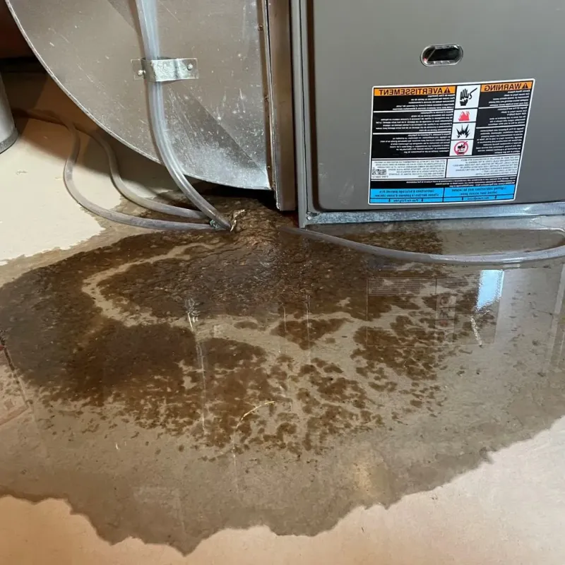 Pipe Burst and Leak Restoration in East Dundee, IL