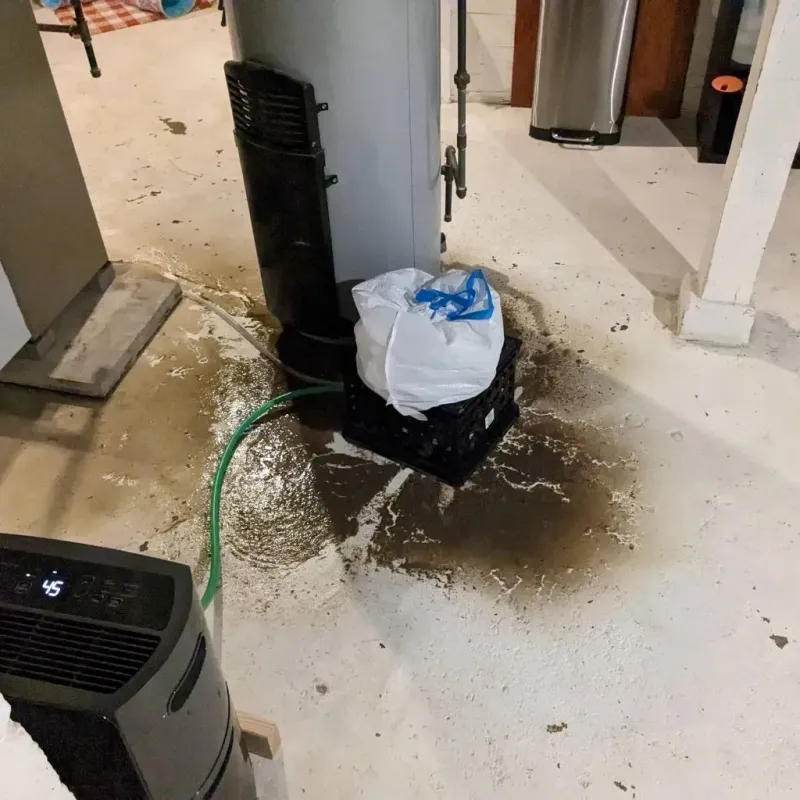 Sewage Backup Cleanup Service in East Dundee, IL